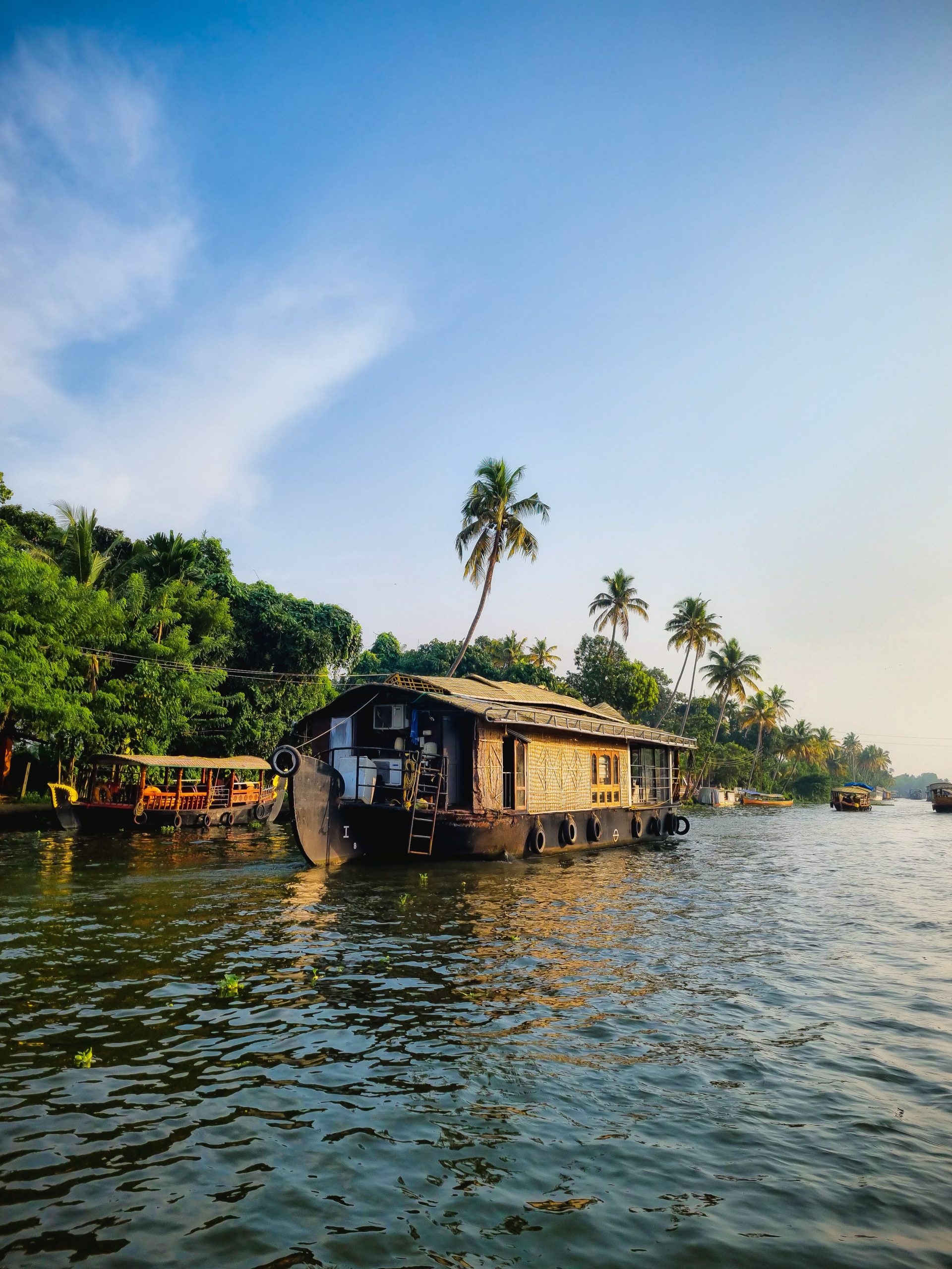 Explore the serene beauty of a houseboat cruising through Kerala's lush backwaters in Alappuzha, India.